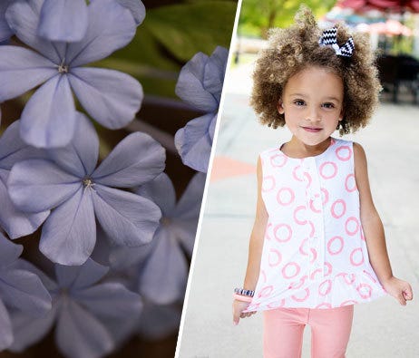 Macro & Portrait Magic 